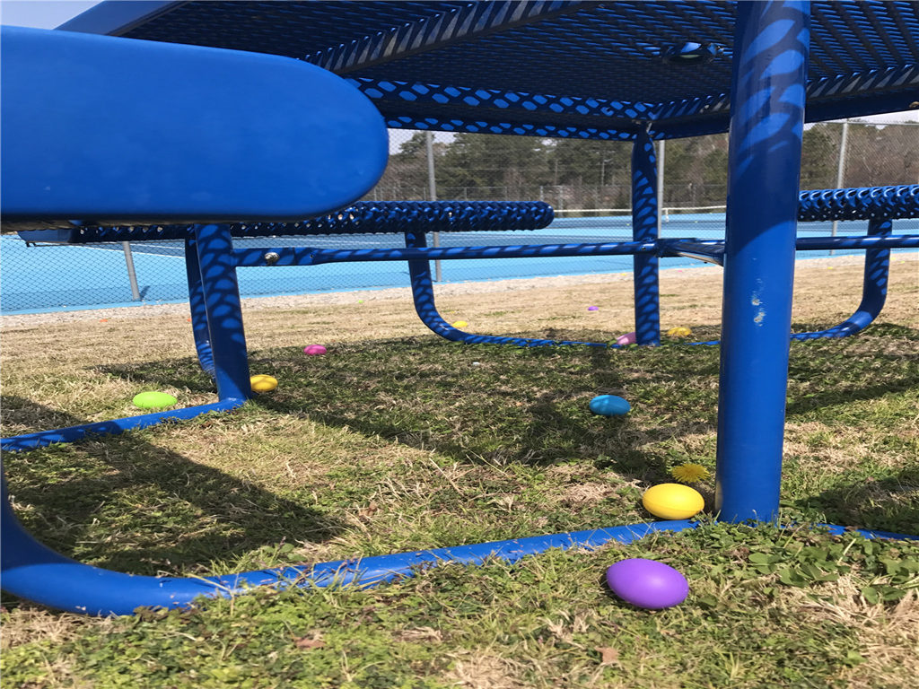 美国游学：这不是彩虹，是复活节彩蛋- 海淀外国语教育集团