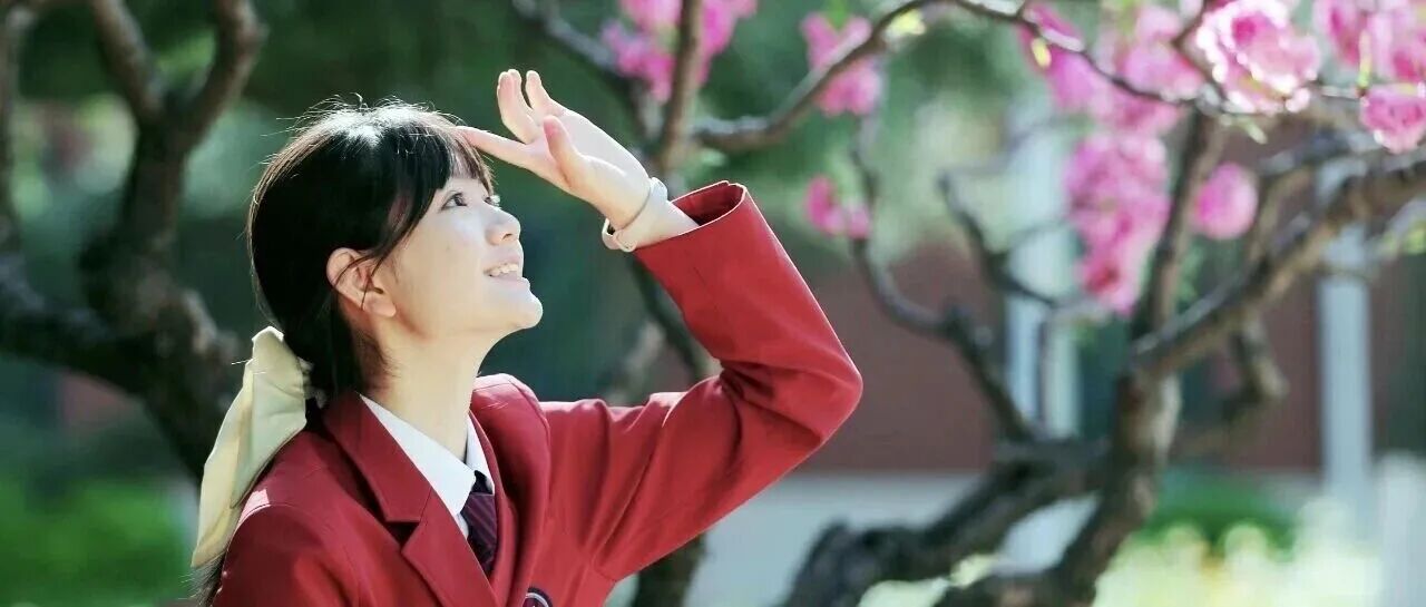 重磅｜2026海淀外国语国际高中录取榜发布